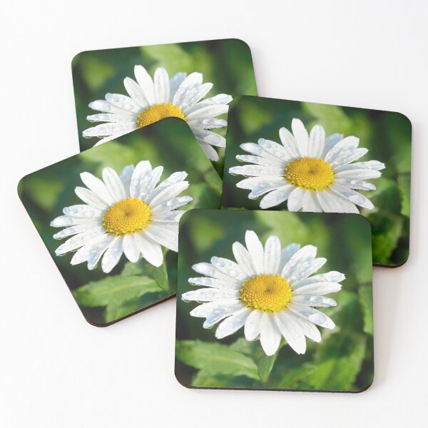 Item preview, Oxeye Daisy  Leucanthemum-vulgare designed and sold by Dorset Girl.