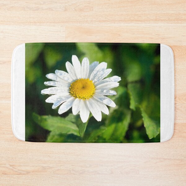 Item preview, Oxeye Daisy  Leucanthemum-vulgare designed and sold by Dorset Girl.