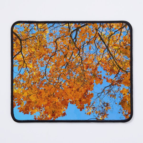 Item preview, Autumn is here designed and sold by bluerosesart37.