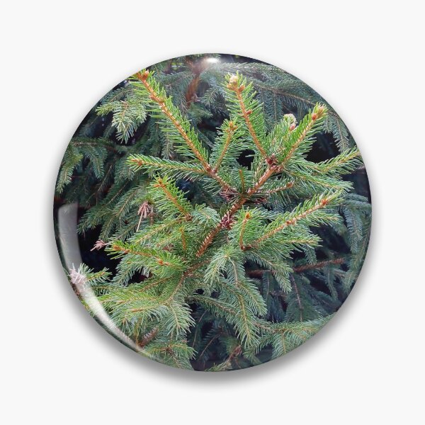 Item preview, Full frame spruce tree close up original artwork designed and sold by paragonDesign28.