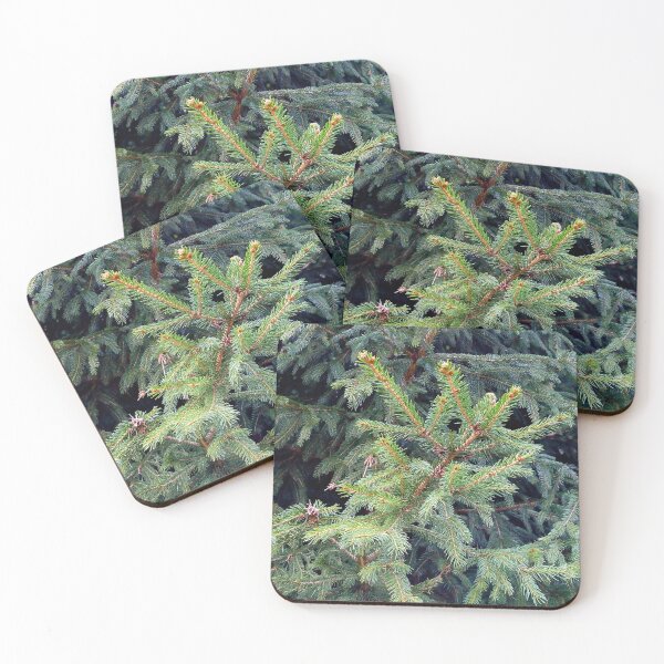 Item preview, Full frame spruce tree close up original artwork designed and sold by paragonDesign28.