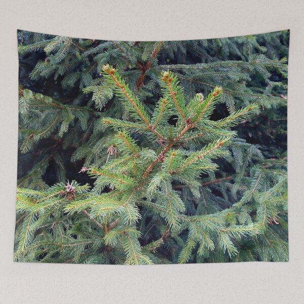 Item preview, Full frame spruce tree close up original artwork designed and sold by paragonDesign28.
