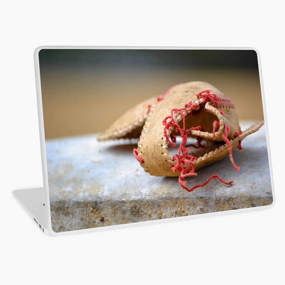 Shell of Dreams Laptop Skin