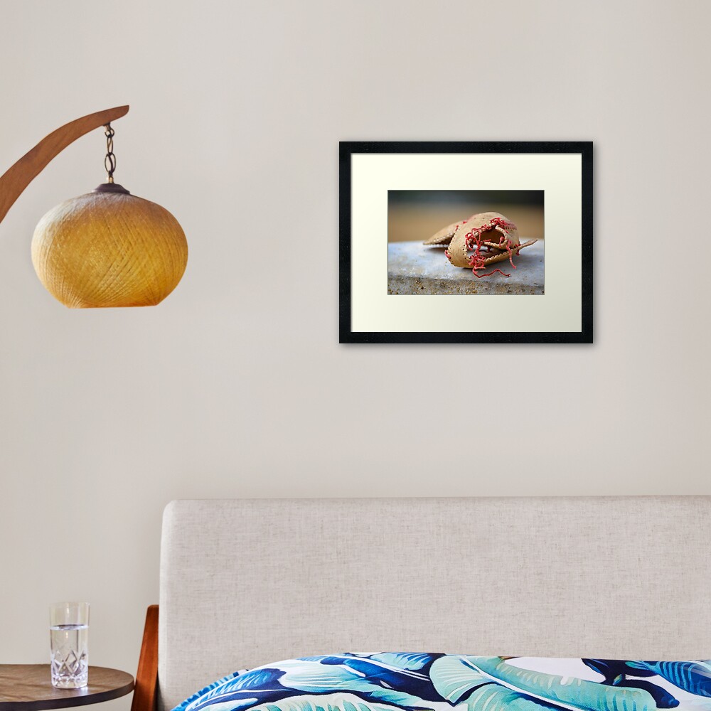 Shell of Dreams Framed Art Print