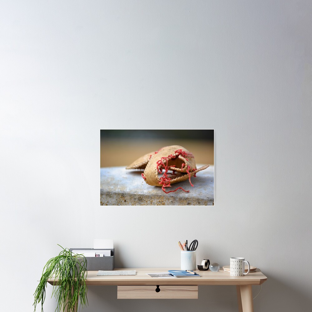 Shell of Dreams Poster