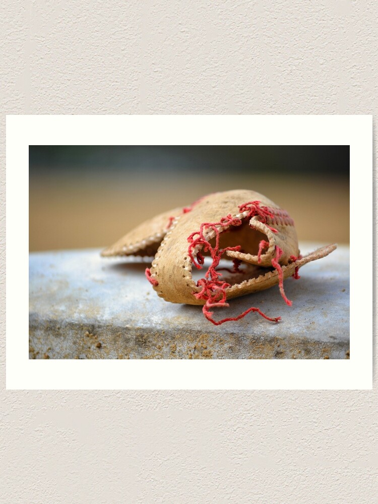 Alternate view of Shell of Dreams Art Print