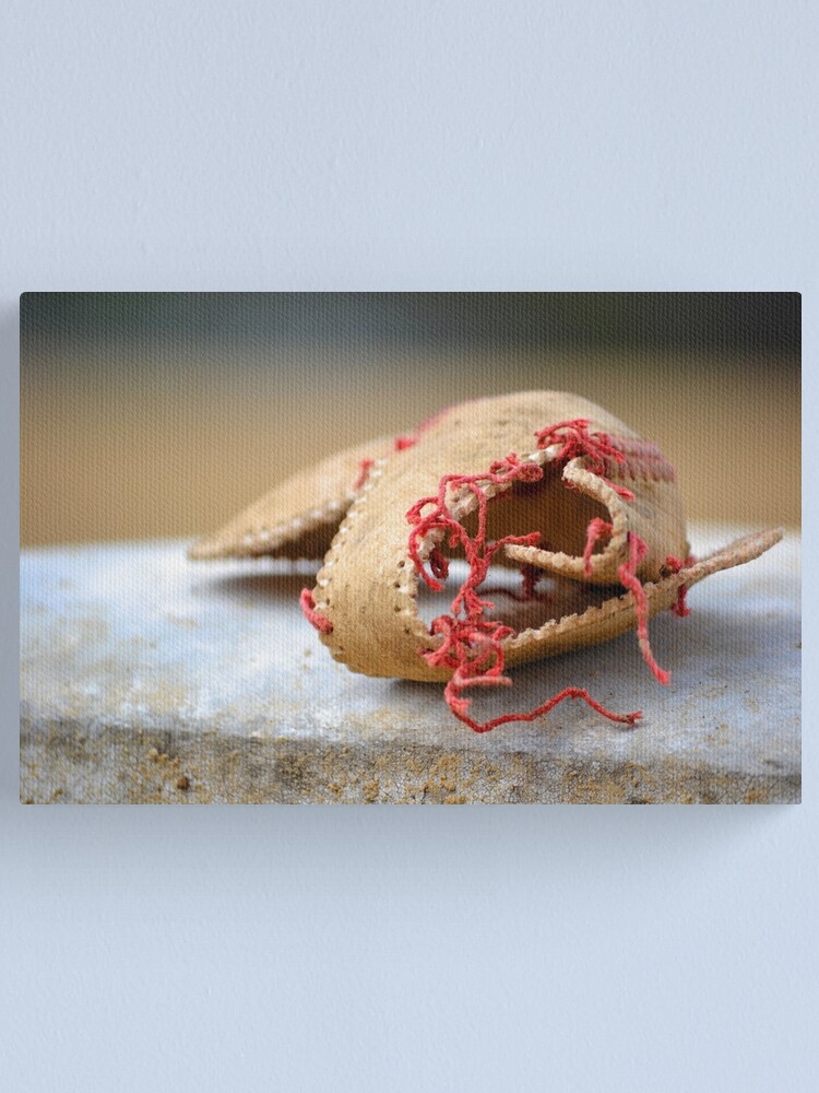 Alternate view of Shell of Dreams Canvas Print