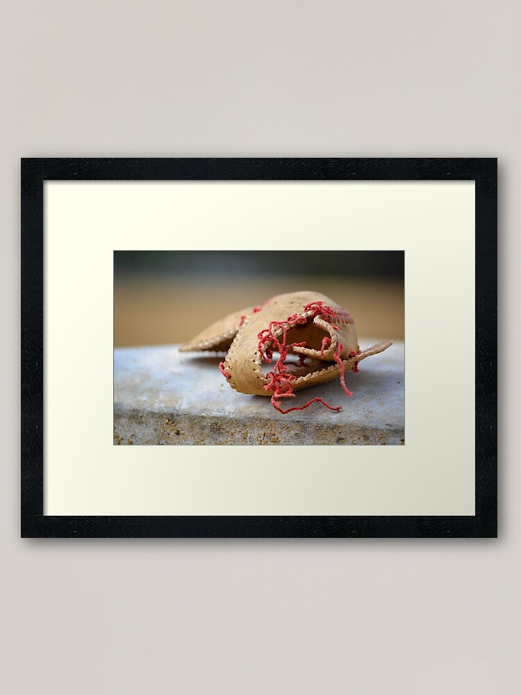Alternate view of Shell of Dreams Framed Art Print