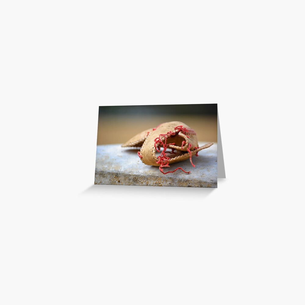 Shell of Dreams Greeting Card