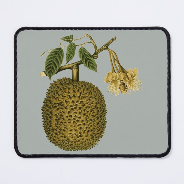 Item preview, The Timeless Charm of Durian - vintage bitanical illustration  designed and sold by EmeraldeaArt.