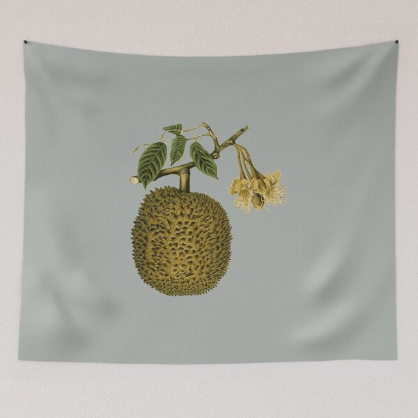 Item preview, The Timeless Charm of Durian - vintage bitanical illustration  designed and sold by EmeraldeaArt.