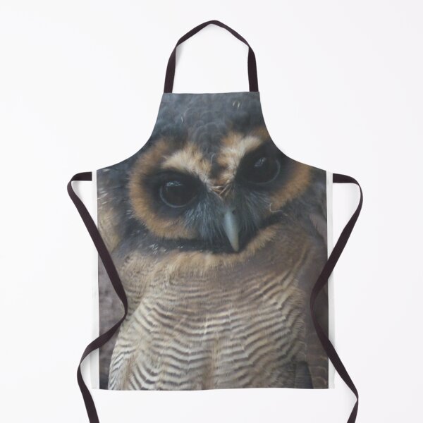 Item preview, Brown wood owl designed and sold by sianemily.