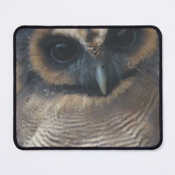 Item preview, Brown wood owl designed and sold by sianemily.
