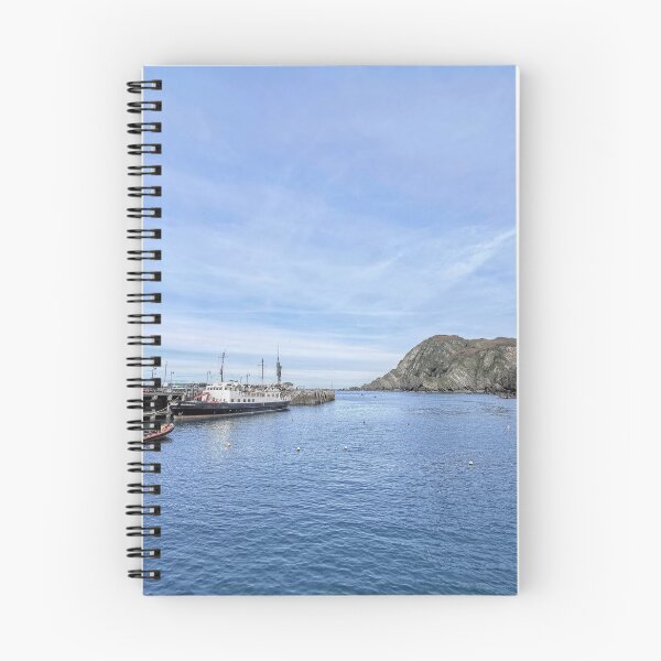 Aperçu de l'œuvre Ilfracombe, nord du Devon créée et vendue par neil hewitt.