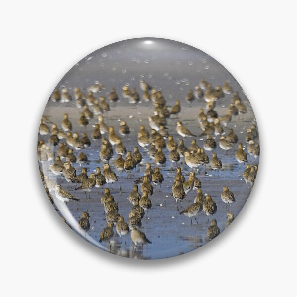 Item preview, Golden Plover designed and sold by Paul Crabtree.