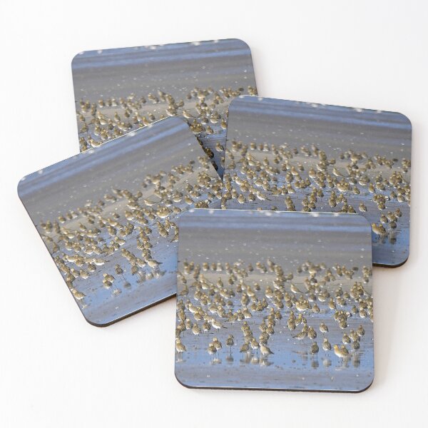 Item preview, Golden Plover designed and sold by Paul Crabtree.