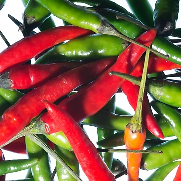 Artwork thumbnail, Chilli Riot by Steve Purnell Photography