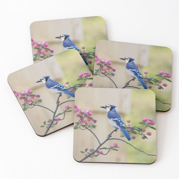 Item preview, Bluejay in Crabapple Tree designed and sold by cherylorraine.