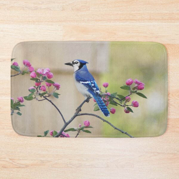 Aperçu de l'œuvre Bluejay dans le pommetier créée et vendue par cherylorraine.