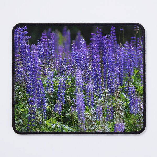 Item preview, Lupins designed and sold by cherylorraine.