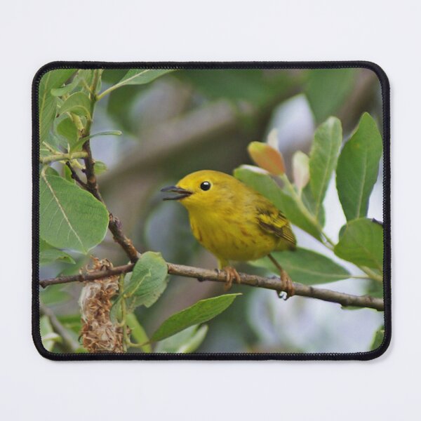 Item preview, Singing Yellow Warbler designed and sold by cherylorraine.