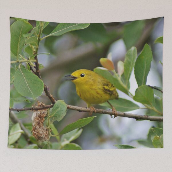Item preview, Singing Yellow Warbler designed and sold by cherylorraine.