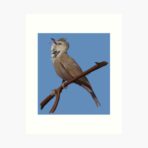 Item preview, Extinct Aguiguan Reed Warbler designed and sold by Thewardenlover.