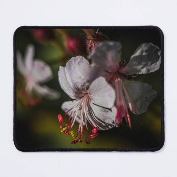 Item preview, Geranium Flower designed and sold by axp7884.