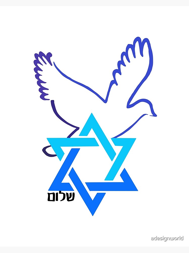 Israel Hoodie - Shalom Dove