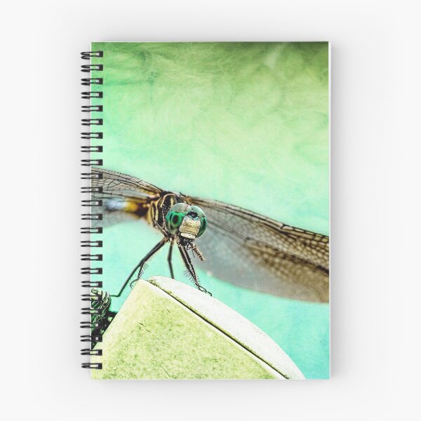 Item preview, A Dragonfly And His Bug designed and sold by Kay Brewer.