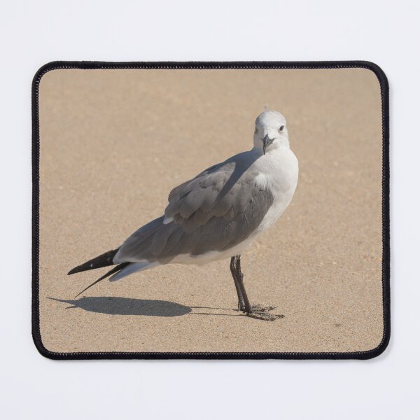 Item preview, Seagull designed and sold by Zina Stromberg.