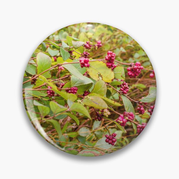 Item preview, Fall berry bush designed and sold by ECPhotos.