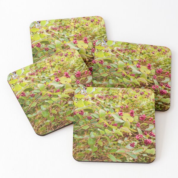 Item preview, Fall berry bush designed and sold by ECPhotos.