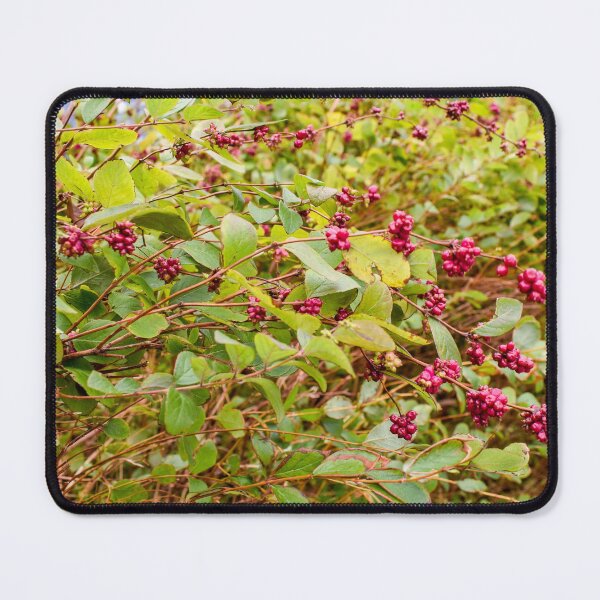 Item preview, Fall berry bush designed and sold by ECPhotos.
