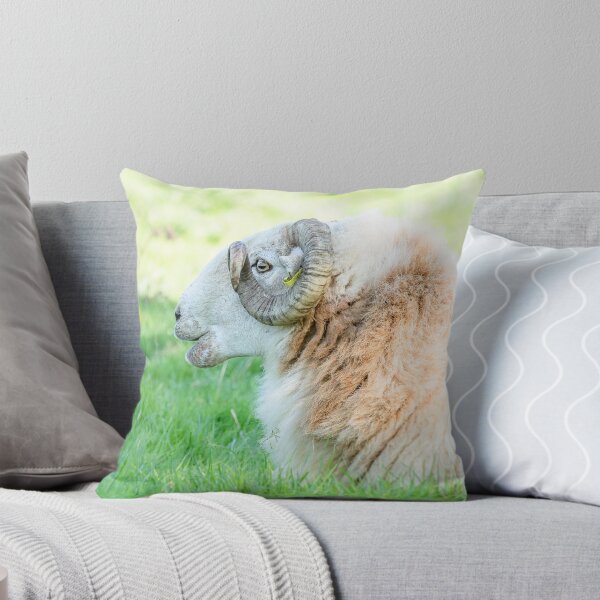 Item preview, Welsh Mountain Ram designed and sold by Jane Stanley Photography.