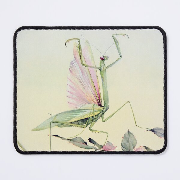Item preview, Praying mantis (Mantis religiosa) doing its threat display. designed and sold by Luggnagg.