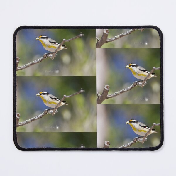 Item preview, Busy Beach Bird designed and sold by shannimages.