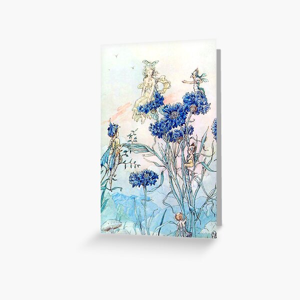 Item preview, Cornflower Flower Fairies - Harold Gaze designed and sold by forgottenbeauty.