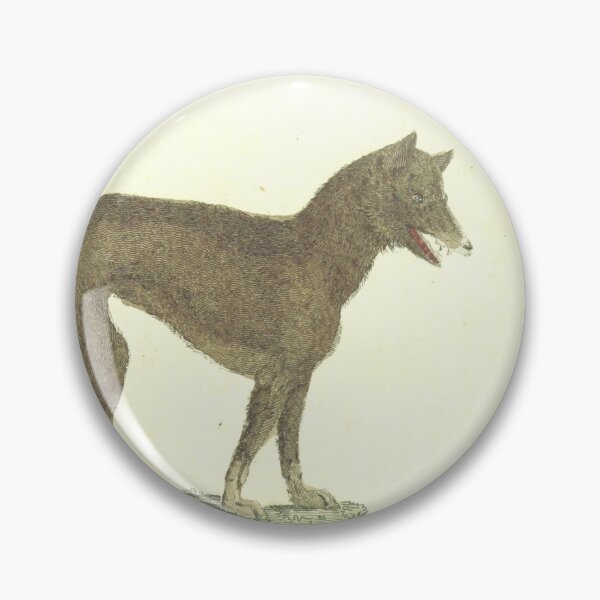 Item preview, A Native Dog from New South Wales Vintage Color Monograph Drawing Doglovers Gift designed and sold by ElegantTeaTime.