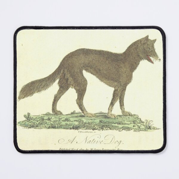 Item preview, A Native Dog from New South Wales Vintage Color Monograph Drawing Doglovers Gift designed and sold by ElegantTeaTime.