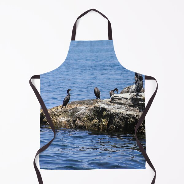 Item preview, Birds on the Rocks designed and sold by heatherfriedman.