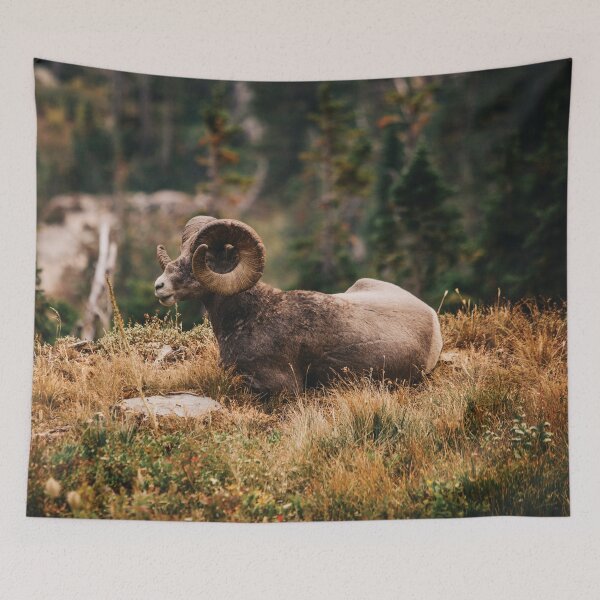Item preview, Glacier Ram designed and sold by Bri Santoro.