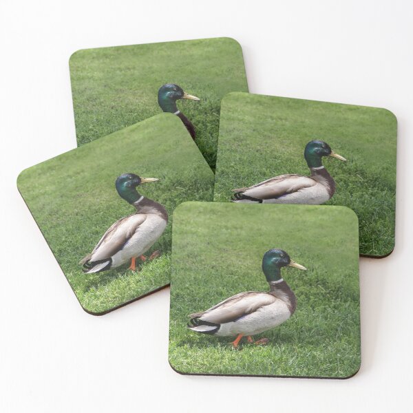 Item preview, Walk This Way designed and sold by heatherfriedman.