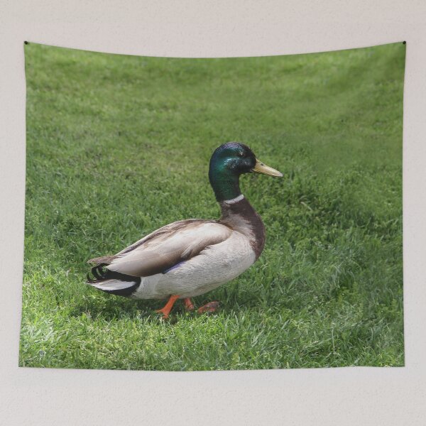 Item preview, Walk This Way designed and sold by heatherfriedman.