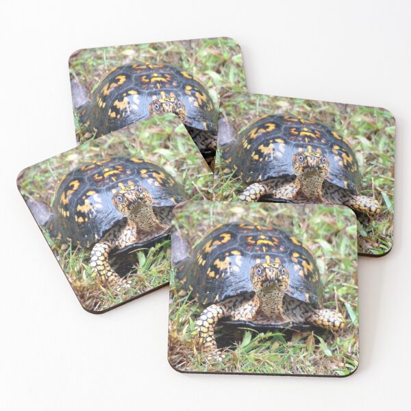 Item preview, Curious Eastern Box Turtle designed and sold by gistinker.