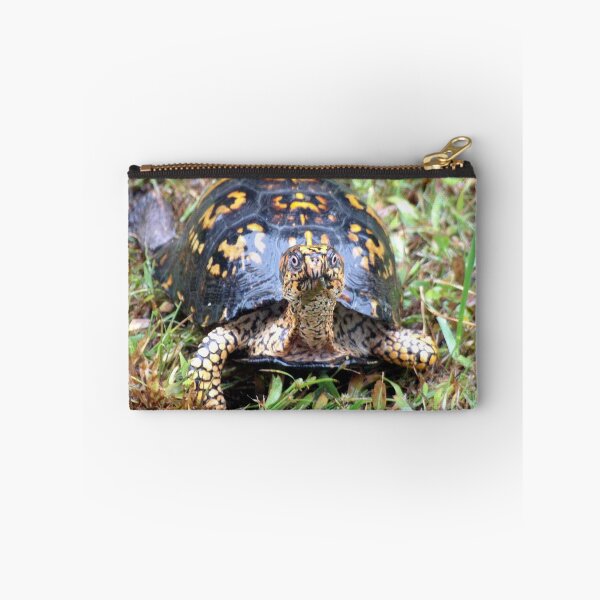Item preview, Curious Eastern Box Turtle designed and sold by gistinker.