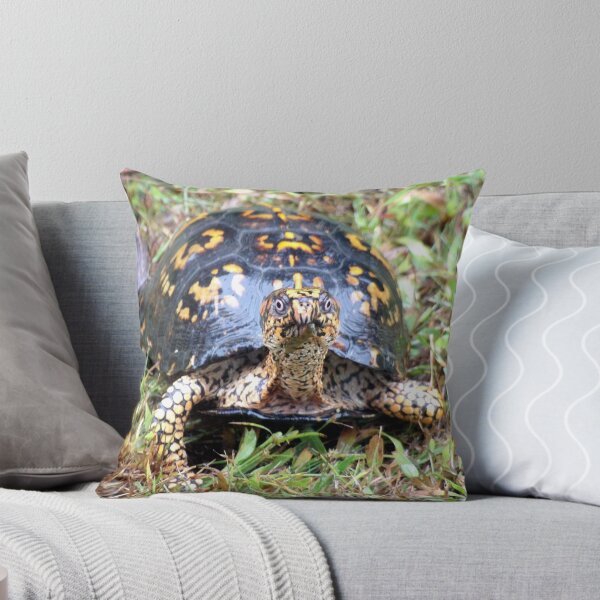 Item preview, Curious Eastern Box Turtle designed and sold by gistinker.