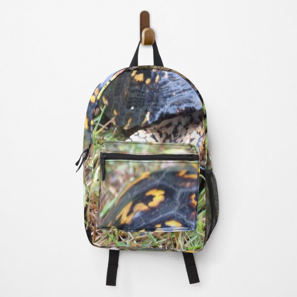 Item preview, Curious Eastern Box Turtle designed and sold by gistinker.