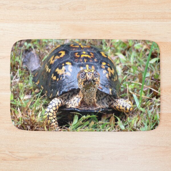 Item preview, Curious Eastern Box Turtle designed and sold by gistinker.