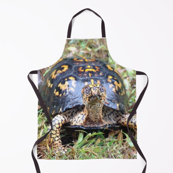 Item preview, Curious Eastern Box Turtle designed and sold by gistinker.
